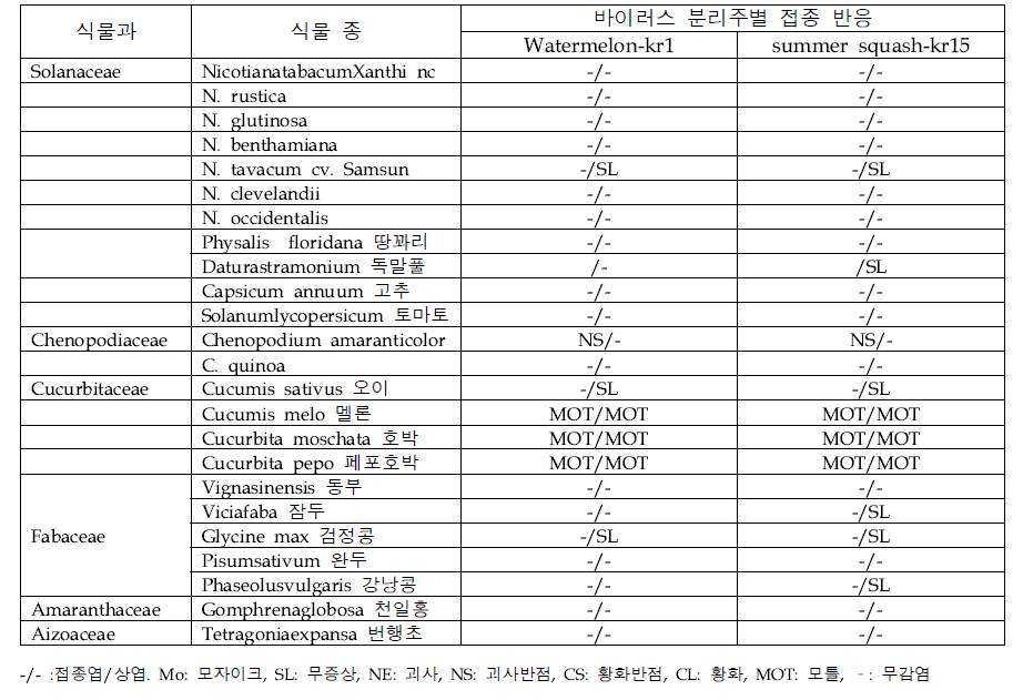 쥬키니와 수박으로부터 분리한 수박모자이크바이러스(WMV)의 기주 반응 조사