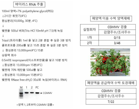 폐양액으로부터 바이러스 RNA 추출 및 바이러스 RT-PCR 검출