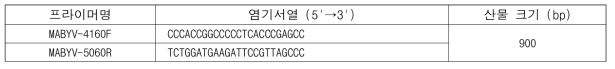 멜론진딧물매개황화바이러스(MABYV) 진단용 프라이머 염기서열