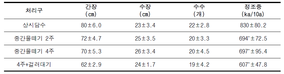 벼 생육 및 수량조사