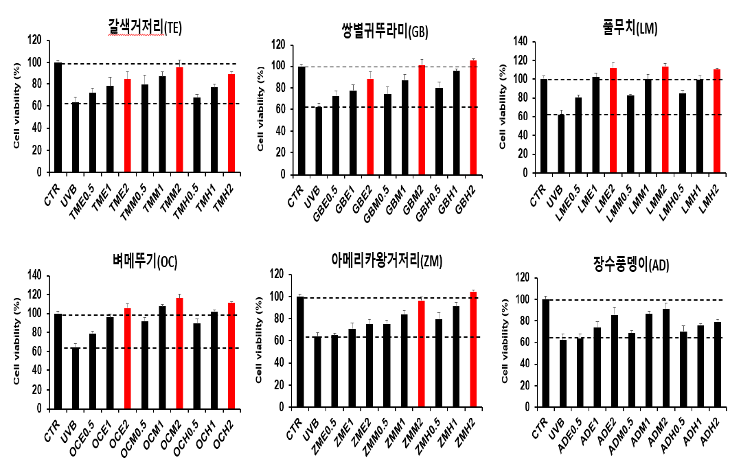 자외선(UVB) 조사에 의한 세포손상 억제효능 추출물 스크리닝