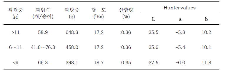 포도 샤인머스켓 품종의 대형단동하우스 재배 시 과립중별 비율