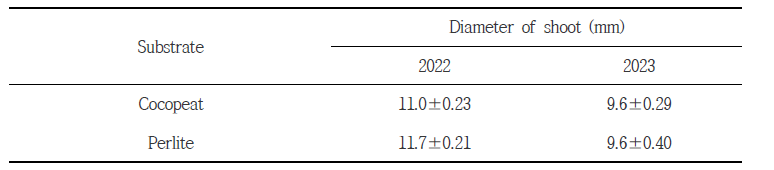 포도 샤인머스켓 품종의 배지별 양액재배에 따른 신초 굵기(2023년)