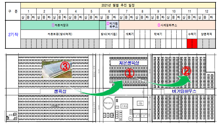 포도 대형단동하우스 1기작 및 2기작 생산시스템