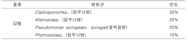 점무늬병 감염된 ‘감황’의 과실 품질