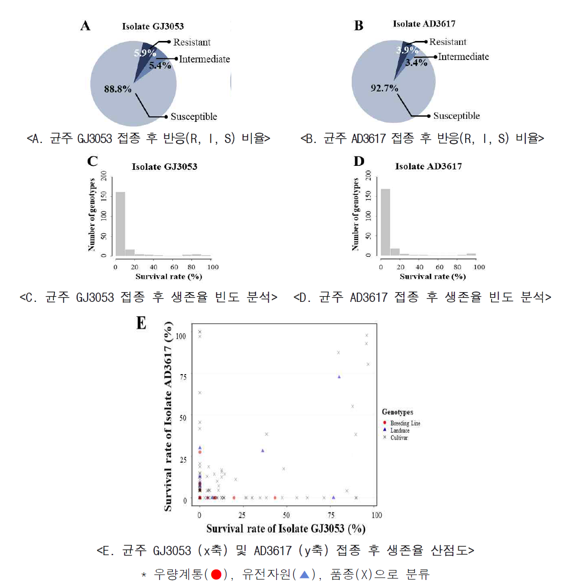 205점 자원의 콩 역병 균주 GJ3053과 AD3617 스크리닝 결과