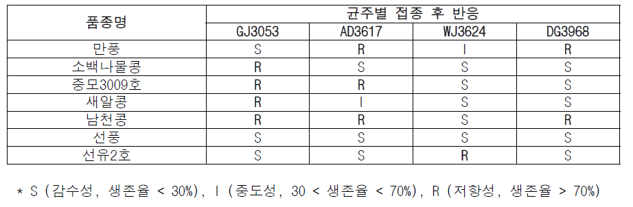 선발된 모·부본 추가 접종 (균주 WJ3624, DG3968) 결과