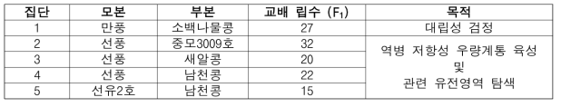 역병 연구용 교배집단 인공교배 결과