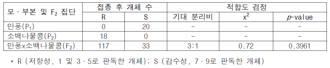 균주 GJ3053 저항성 분리비 및 적합도 검정 결과