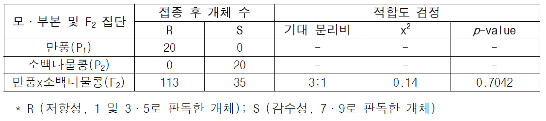 균주 AD3617 저항성 분리비 및 적합도 검정 결과