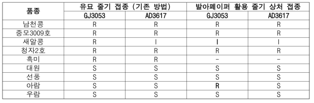 발아 페이퍼를 활용한 줄기 상처 접종 결과