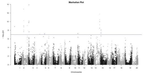 균주 GJ3053에 대한 Manhattan plot