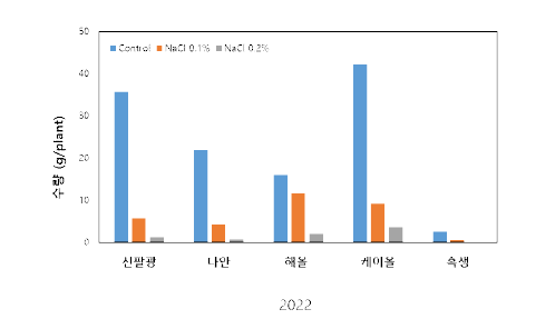 관개수 염처리에 따른 땅콩 품종별 수확기 수량 (2022)