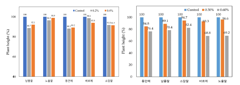 염농도에 따른 초장 비교 (좌, ’21) 대조/0.2/0.4%, (우, ’22) 대조/0.3/0.6%