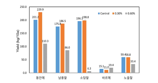 비가림 조건에서 염농도(대조구, 0.3%, 0.6%) 변화에 따른 품종별 수량성 평가