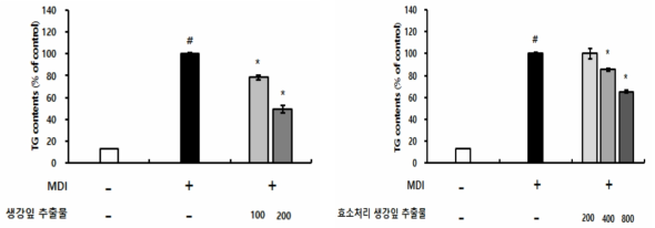 Effects of the ginger leaf extract and enzymatic extract on intercellular lipid accumulation in 3T3-L1 cells