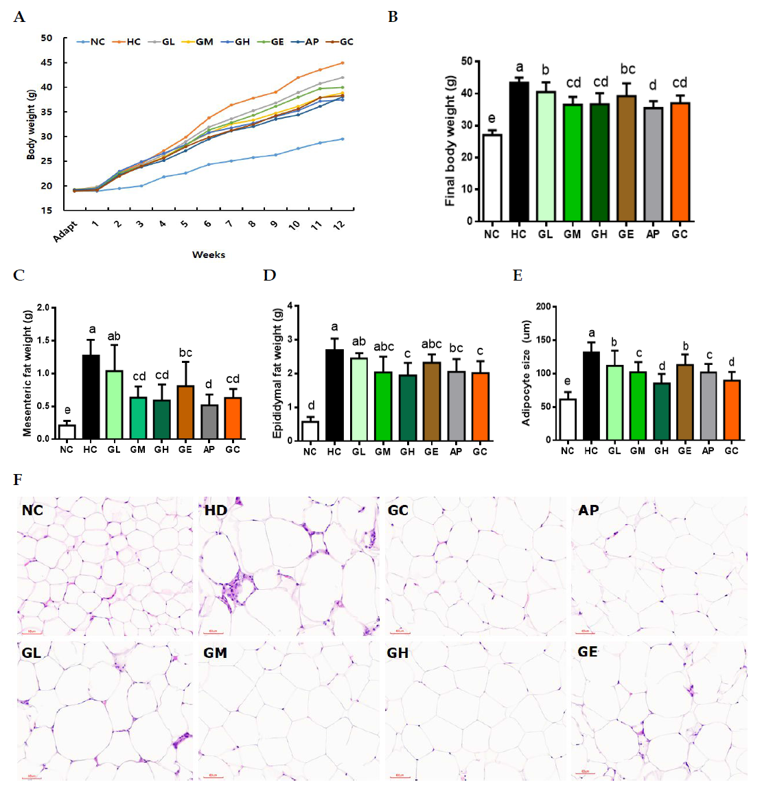 Effect of ginger leaf extract on body weight change, fat weight, and adipocyte size in obese mice