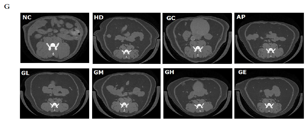 Effect of ginger leaf extract on body weight change, fat weight, and adipocyte size in obese mice (Continued)