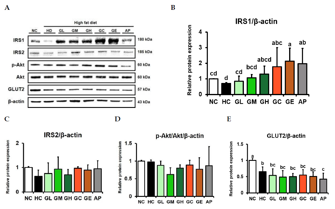 Expression of proteins related to glucose metabolism in the liver of High-fat diet-induced obese mice Values are mean ± SD (n=8). a-e Means with different letters are significantly different (p<0.05)