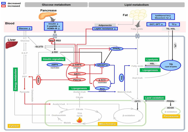 Expected mechanism