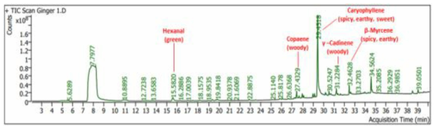 GC-MS chromatogram and major compounds of supercritical ginger leaves extract