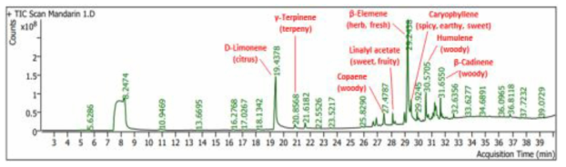 GC-MS chromatogram and major compounds of supercritical ginger leaves extract