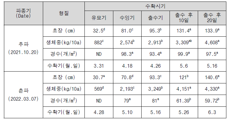 2년차(2022년) 트리티케일 수확시기별 생육 및 조사료 수량