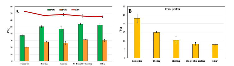 1년차(2021년) 트리티케일 수확시기별 조섬유(A) 및 조단백(B) 함량 분석 결과 * NDF: neutral detergent fiber (중성세제불용성섬유), ADF: acid detergent fiber (산성세제불용성섬유), TDN: total digestible nutrients (총가소화양분함량), crude protein (조단백)