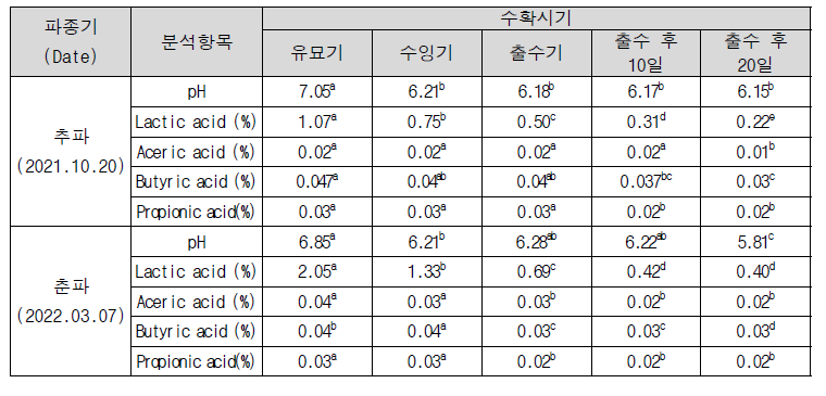 2년차(2022년) 트리티케일 파종기에 따른 수확시기별 사일리지 조섬유 함량 분석 결과