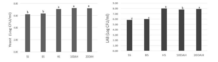 3년차(2023년) 트리티케일 수확시기별 헤일리지(haylage)내 효모(yeast)와 유산균 (LAB)의 변화 abcde superscripts with the same column are significantly different by Duncan's multiple ranges test(p < 0.05)