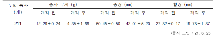 도입 야생망고 종자 특성