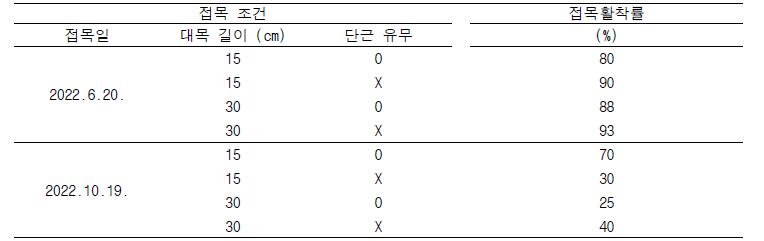 접목 조건에 따른 접목활착률