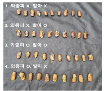 파종 전 종자 전처리