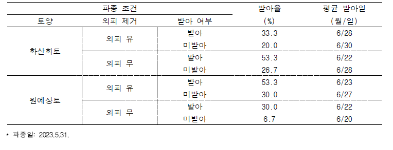 야생 망고 종자 파종 조건별 발아율 및 평균 발아일