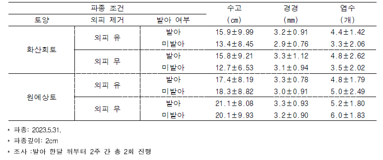 야생 망고 종자 파종 조건별 신초 생육 특성