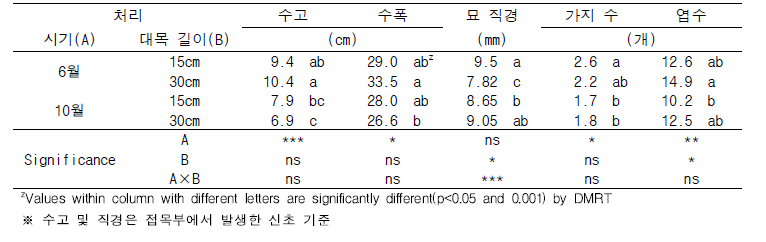 망고 ‘Alphonso’품종의 접목 시기 및 대목 길이에 따른 수체 특성