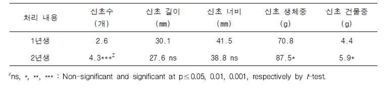 삽수 연령에 따른 삽목묘의 신초 생육 특성