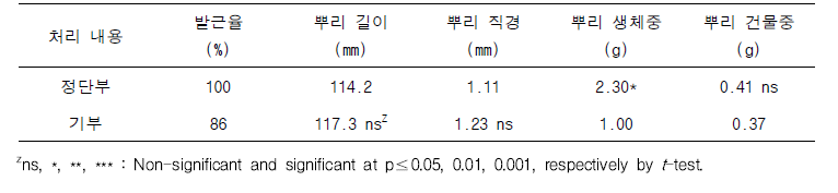 삽수 채취 부위에 따른 삽목묘의 뿌리 발근 특성