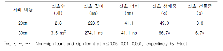 삽수 길이에 따른 삽목묘의 뿌리 발근 특성