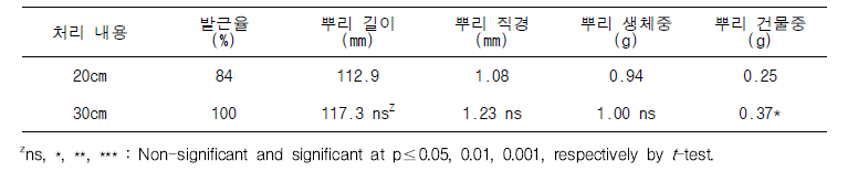 삽수 길이에 따른 삽목묘의 뿌리 발근 특성