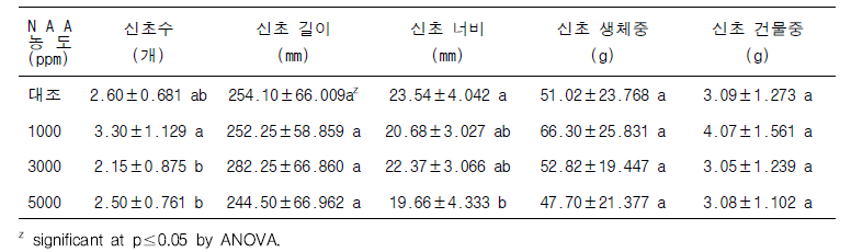 NAA 처리에 따른 삽목묘의 신초 생육 특성