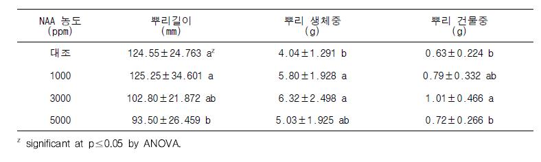 NAA 처리에 따른 삽목묘의 뿌리 생육 특성