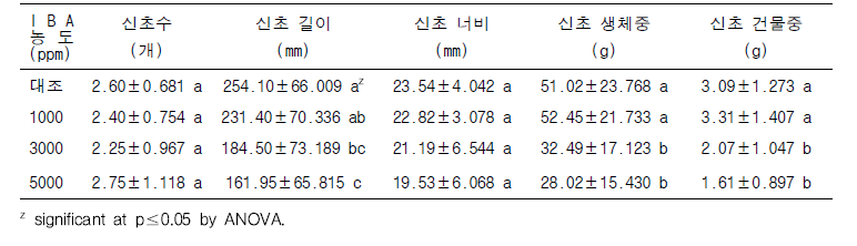 IBA 처리에 따른 삽목묘의 신초 생육 특성