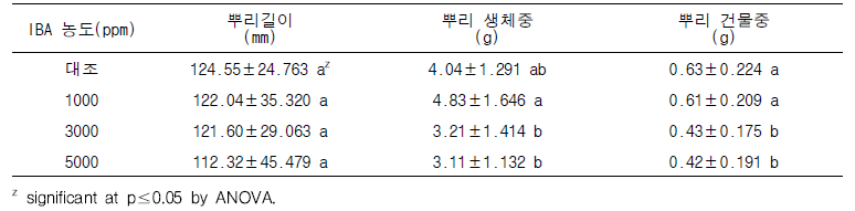 IBA 처리에 따른 삽목묘의 뿌리 생육 특성