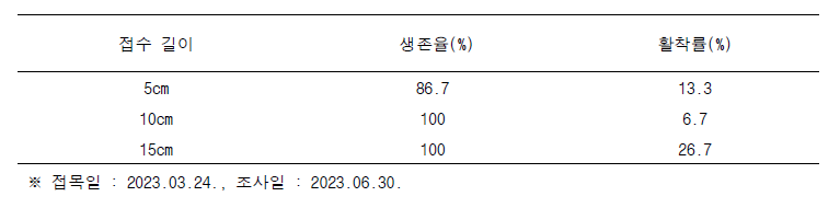 용과 접목에서 접수 길이에 따른 생존율 및 활착률