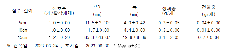 용과 접목에서 접수 길이에 따른 신초특성