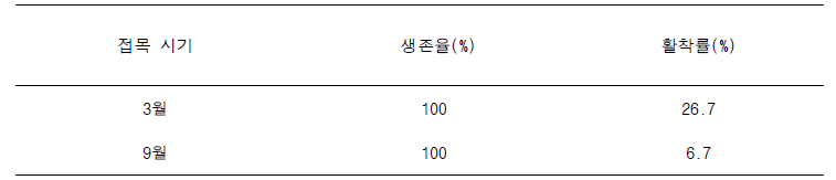 접목 시기별 생존율 및 활착률