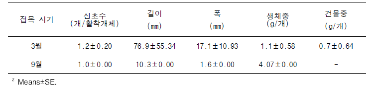 용과 접목에서 시기에 따른 신초특성