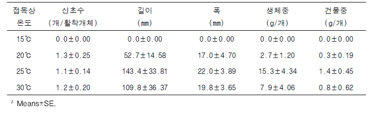 접목상 온도별 신초특성