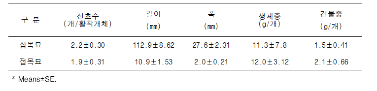 용과 삽목묘와접목묘에서의 초기 신초생육 비교